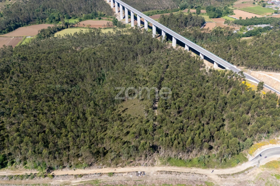 Terreno para Venda em Bougado (São Martinho e Santiago) Foto 3