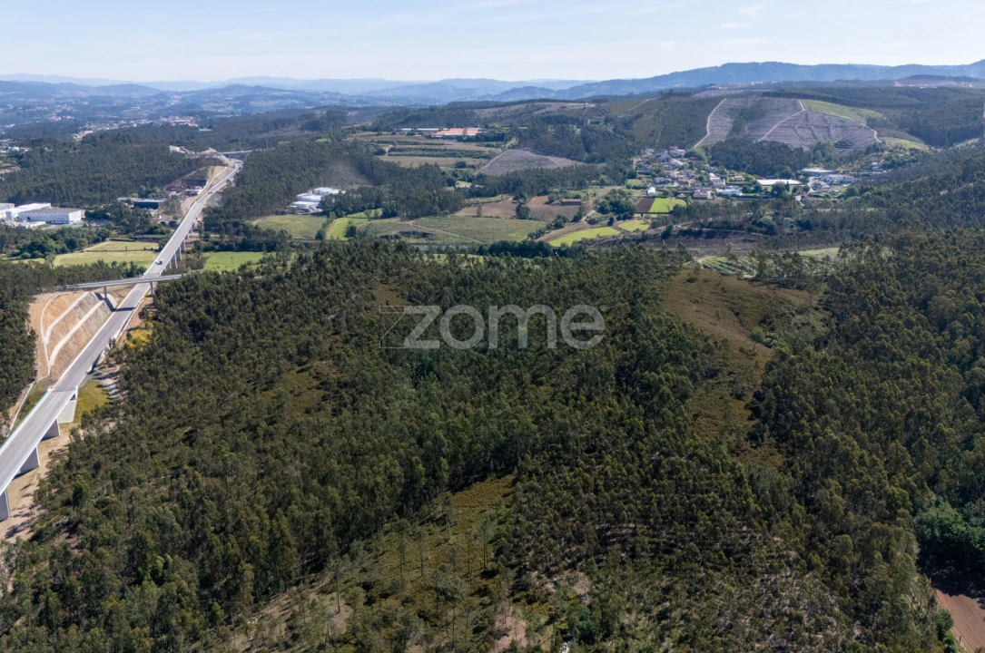 Terreno para Venda em Bougado (São Martinho e Santiago) Foto 6