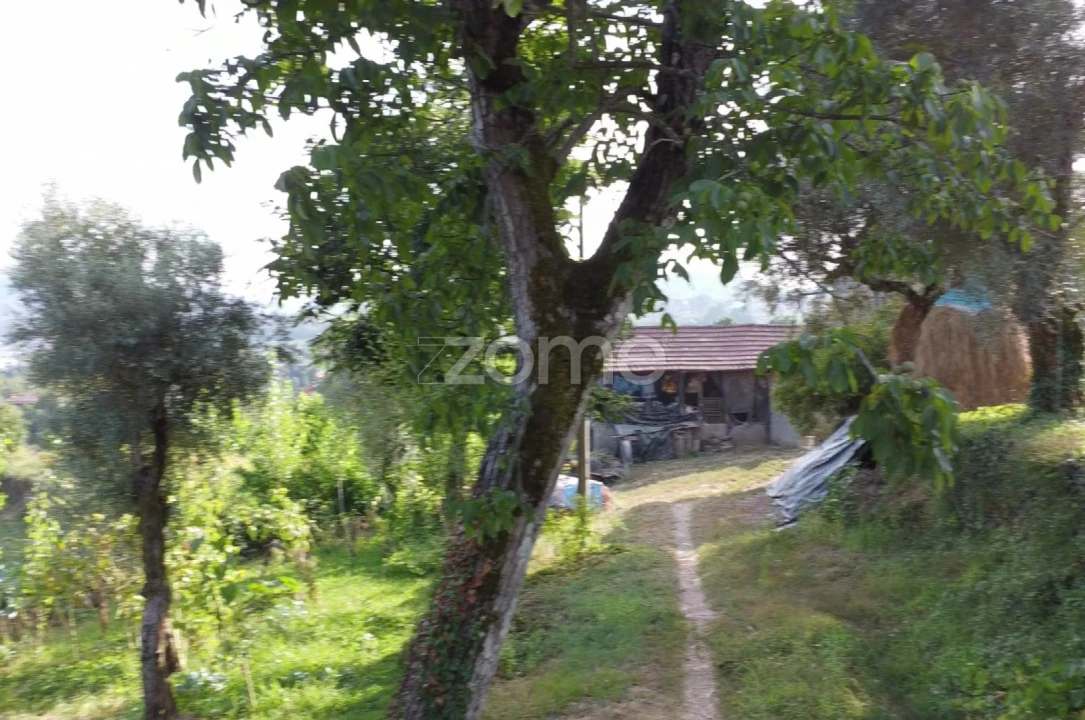 Moradia T3 para Venda em Refojos de Basto, Outeiro e Painzela Foto 6