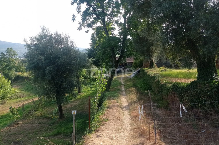 Moradia T3 para Venda em Refojos de Basto, Outeiro e Painzela Foto 5