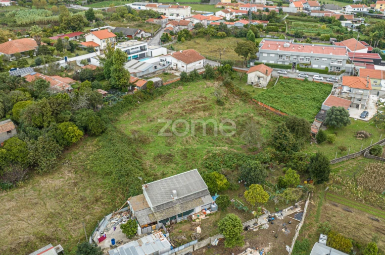 Terreno para Arrendamento em Grijó e Sermonde Foto 6