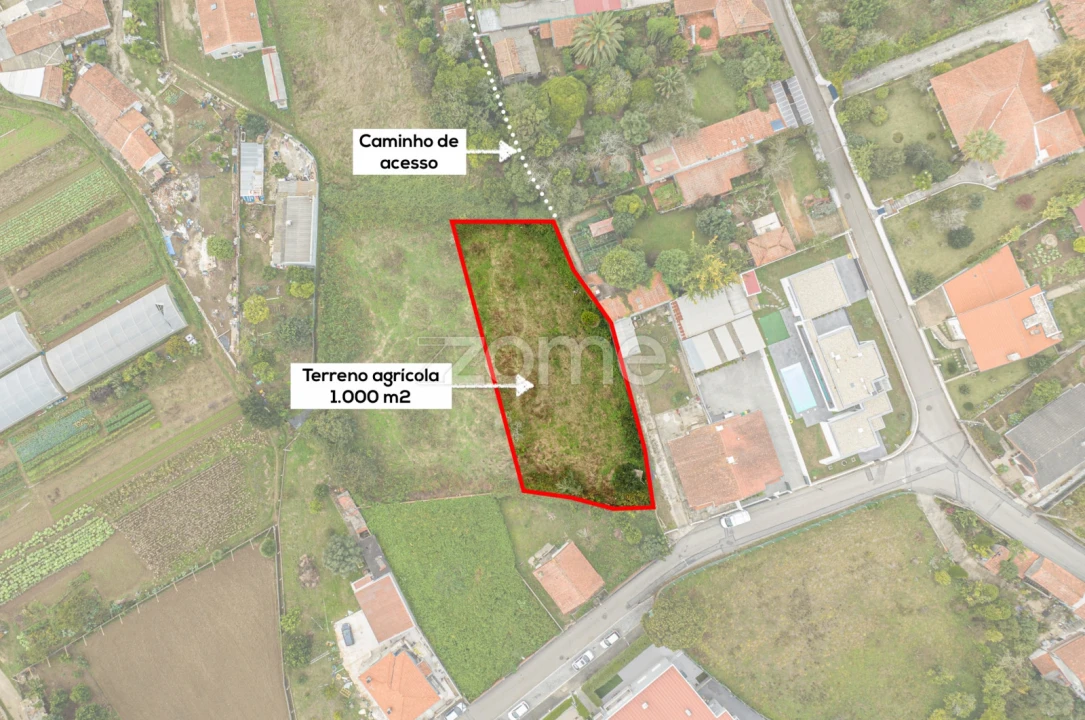 Terreno para Arrendamento em Grijó e Sermonde Foto 2