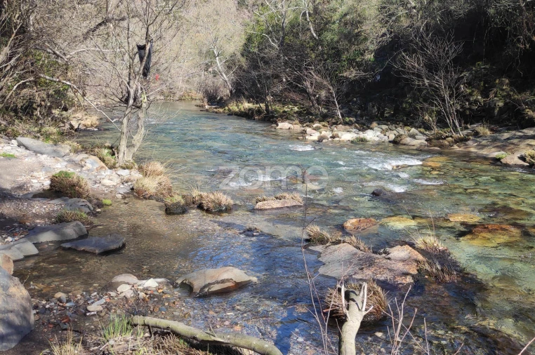 Quinta T2 para Venda em Moldes Foto 16