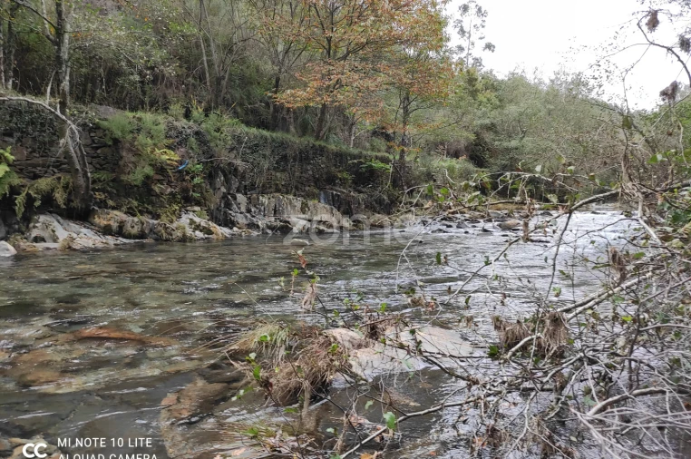 Quinta T2 para Venda em Moldes Foto 17