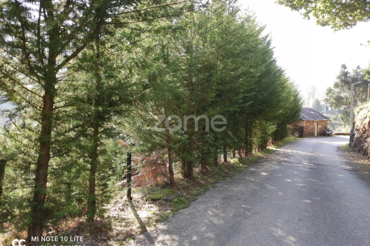 Quinta T2 para Venda em Moldes Foto 9