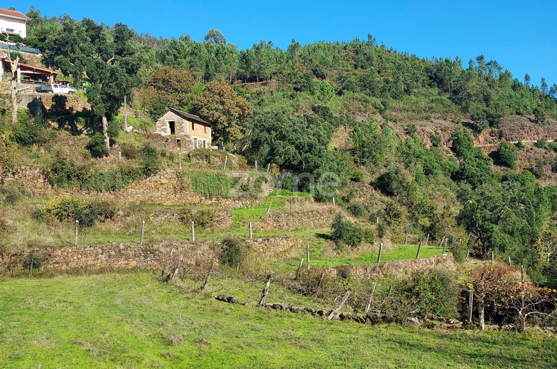 Quinta T2 para Venda em Moldes Foto 11