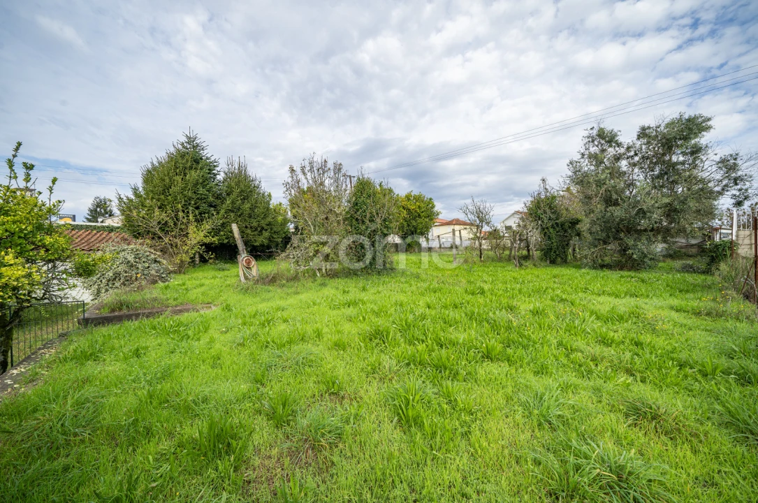 Moradia T5 para Venda em Freixo de Cima e de Baixo Foto 42