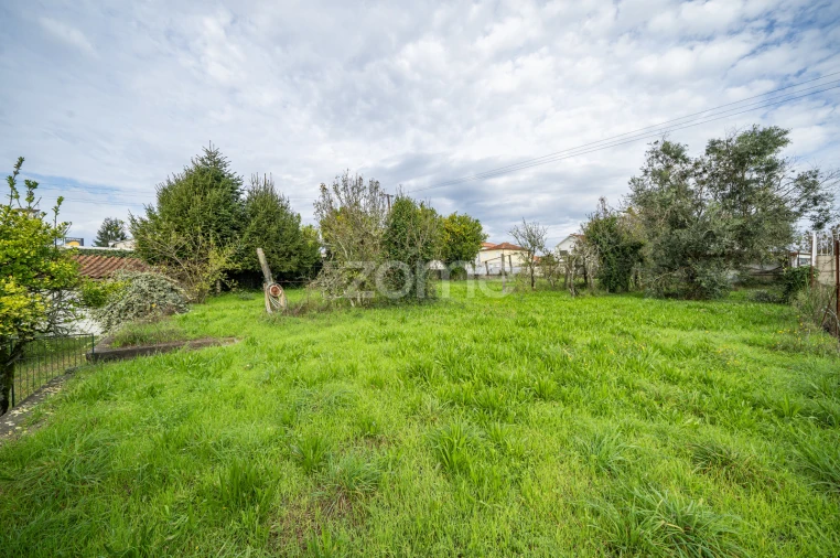 Moradia T5 para Venda em Freixo de Cima e de Baixo Foto 42