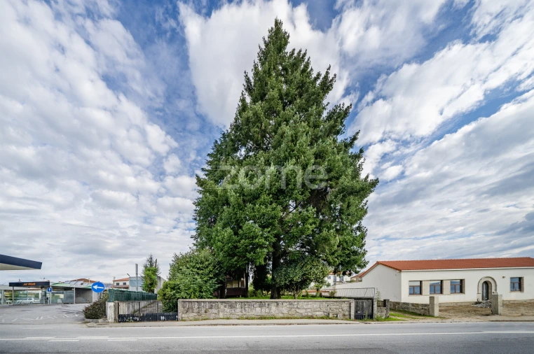 Moradia T5 para Venda em Freixo de Cima e de Baixo Foto 5