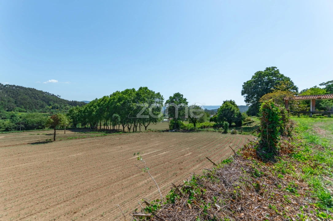 Quinta T12 para Venda em Formariz e Ferreira Foto 21