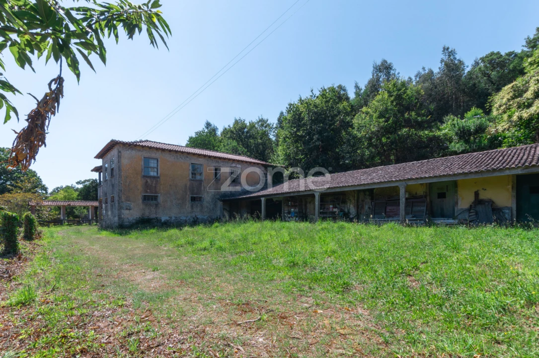 Quinta T12 para Venda em Formariz e Ferreira Foto 22