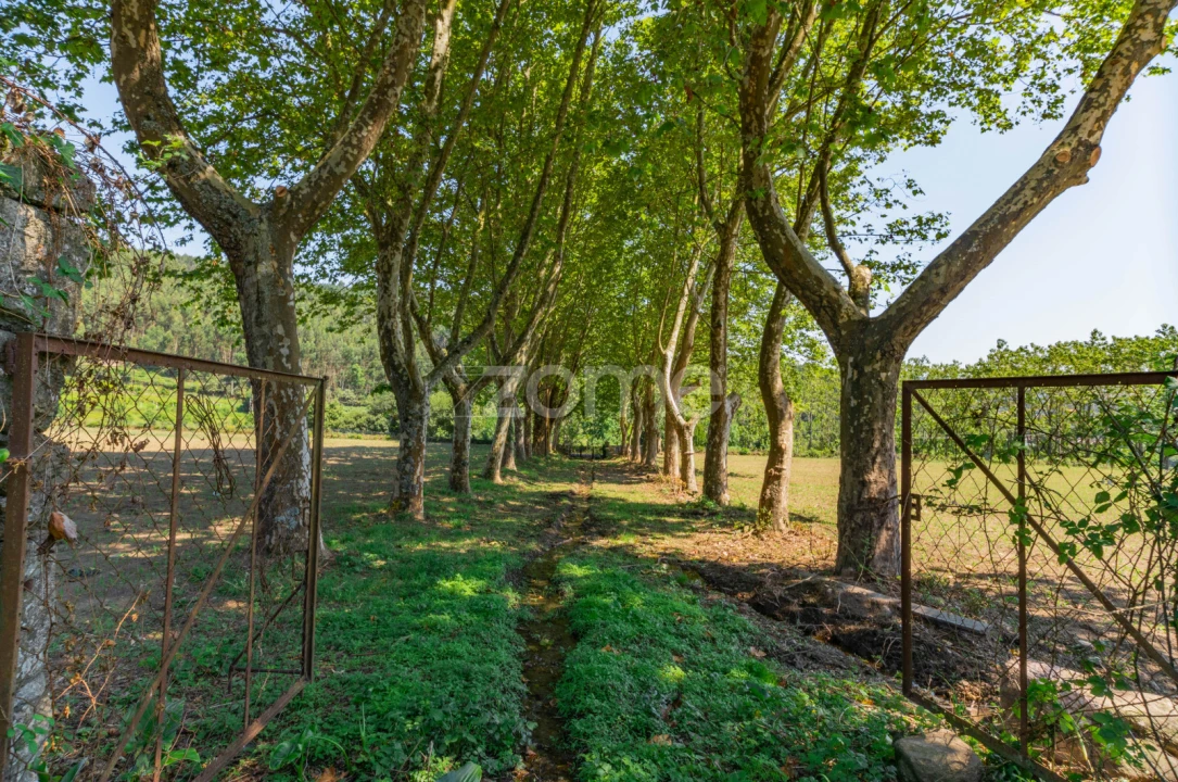 Quinta T12 para Venda em Formariz e Ferreira Foto 23