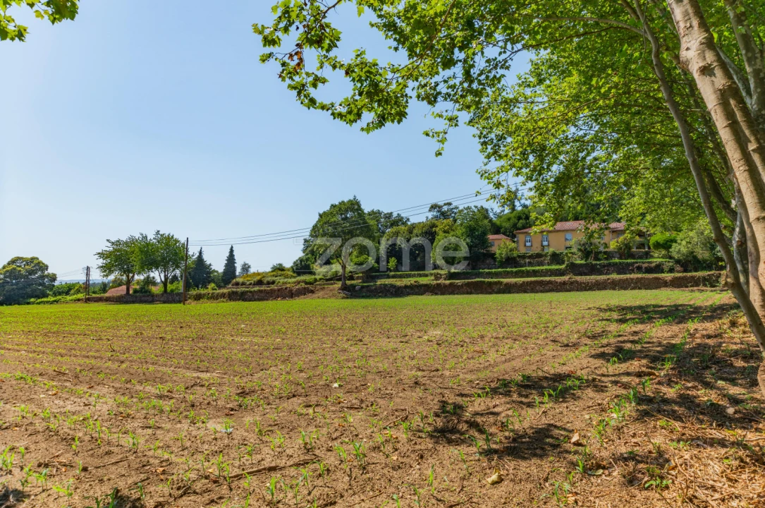 Quinta T12 para Venda em Formariz e Ferreira Foto 25