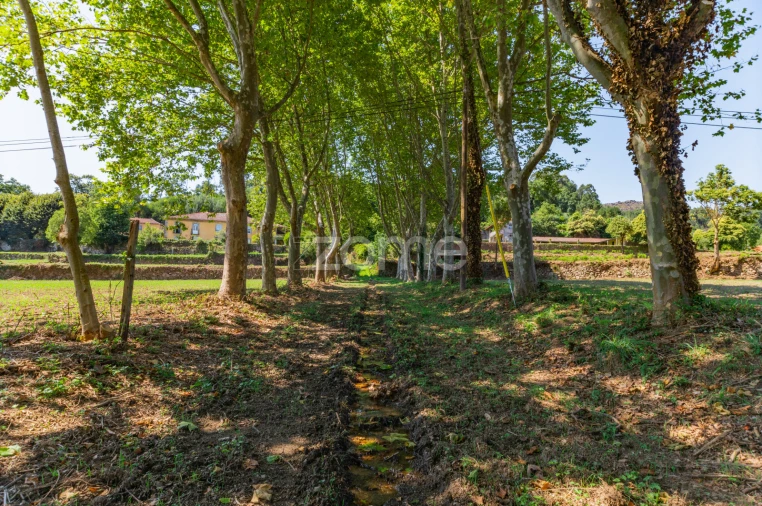 Quinta T12 para Venda em Formariz e Ferreira Foto 24