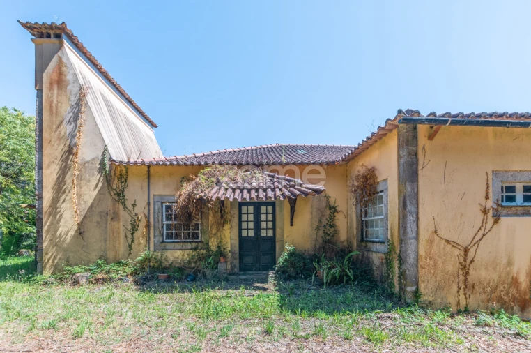 Quinta T12 para Venda em Formariz e Ferreira Foto 15