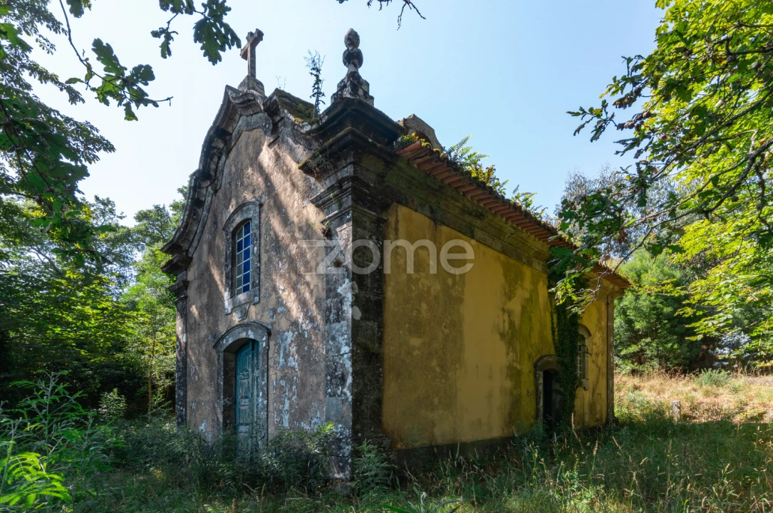 Quinta T12 para Venda em Formariz e Ferreira Foto 26