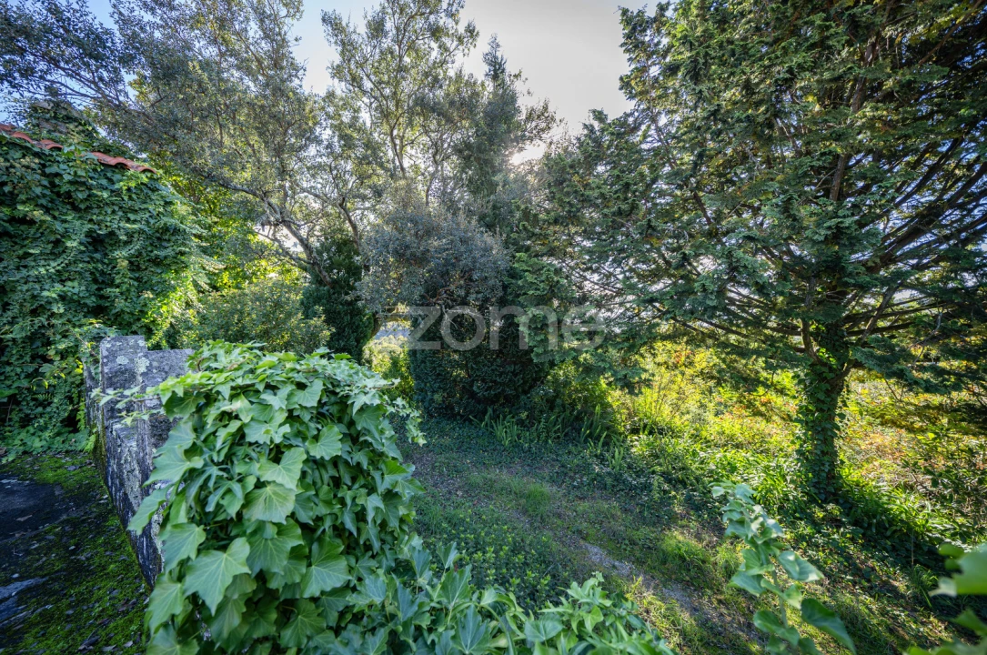 Quinta T4 para Venda em Idães Foto 35