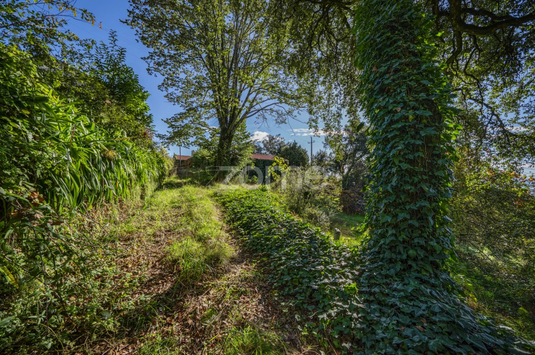 Quinta T4 para Venda em Idães Foto 38