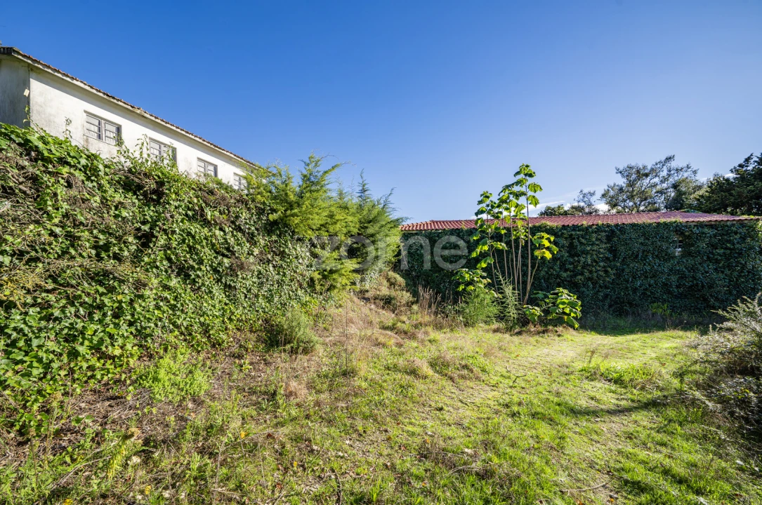 Quinta T4 para Venda em Idães Foto 39