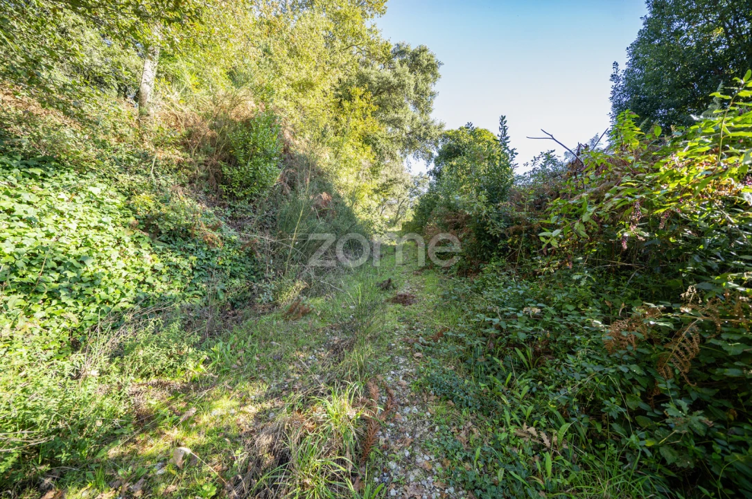 Quinta T4 para Venda em Idães Foto 41