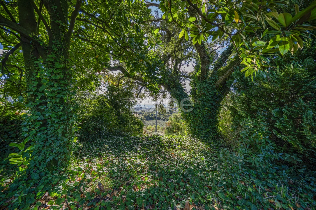 Quinta T4 para Venda em Idães Foto 44