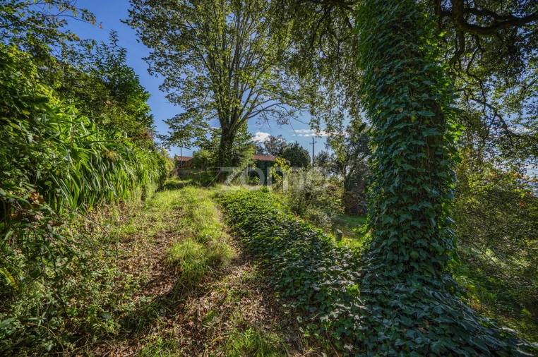 Quinta T4 para Venda em Idães Foto 38