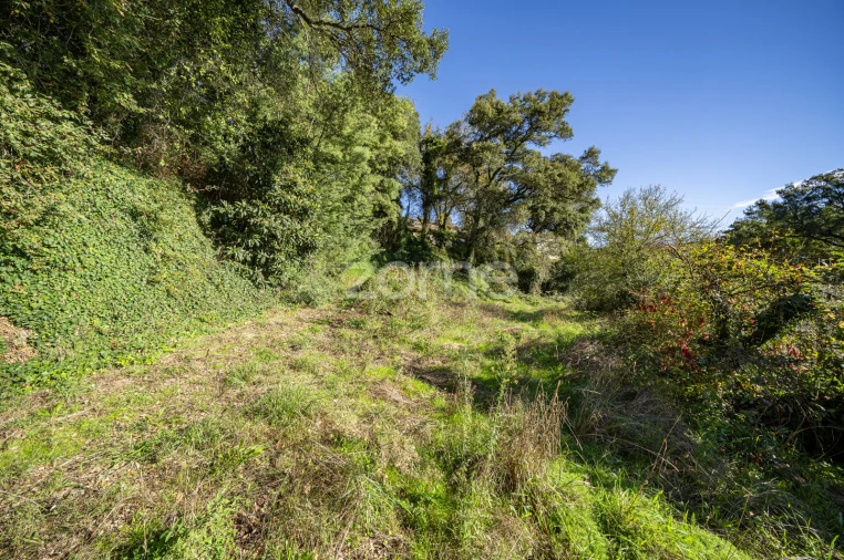 Quinta T4 para Venda em Idães Foto 40