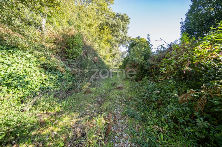 Quinta T4 para Venda em Idães Foto 41