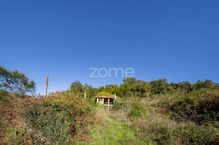 Quinta T4 para Venda em Idães Foto 42