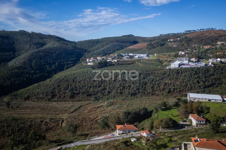 Quinta T4 para Venda em Idães Foto 50