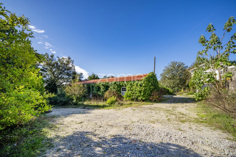 Quinta T4 para Venda em Idães Foto 6