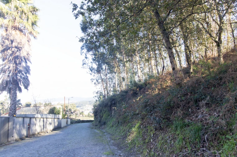 Moradia T4 para Venda em Tadim Foto 56