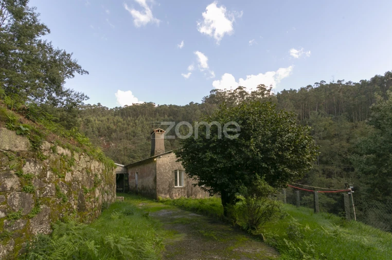 Quinta T1 para Venda em Ossela Foto 17