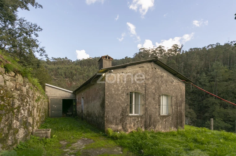 Quinta T1 para Venda em Ossela Foto 18