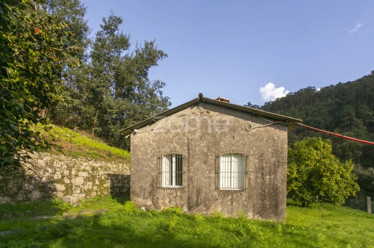 Quinta T1 para Venda em Ossela Foto 19