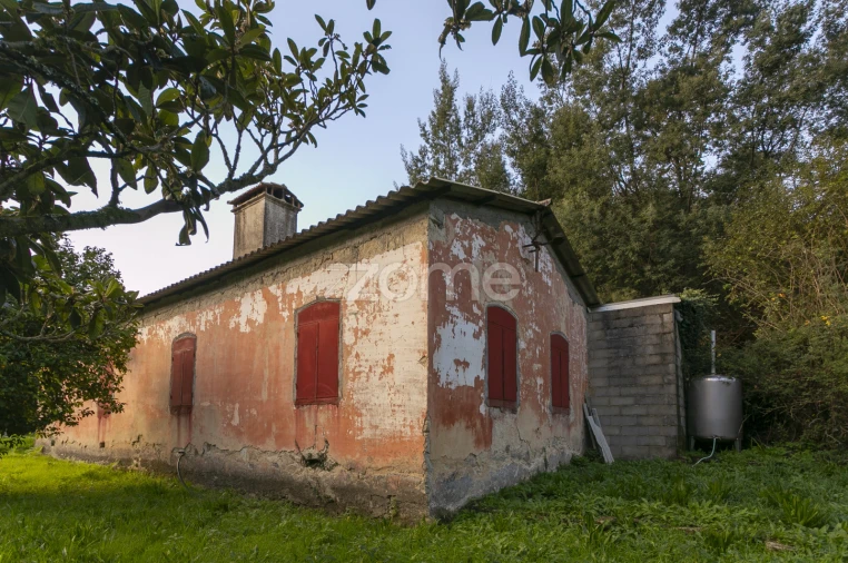 Quinta T1 para Venda em Ossela Foto 22