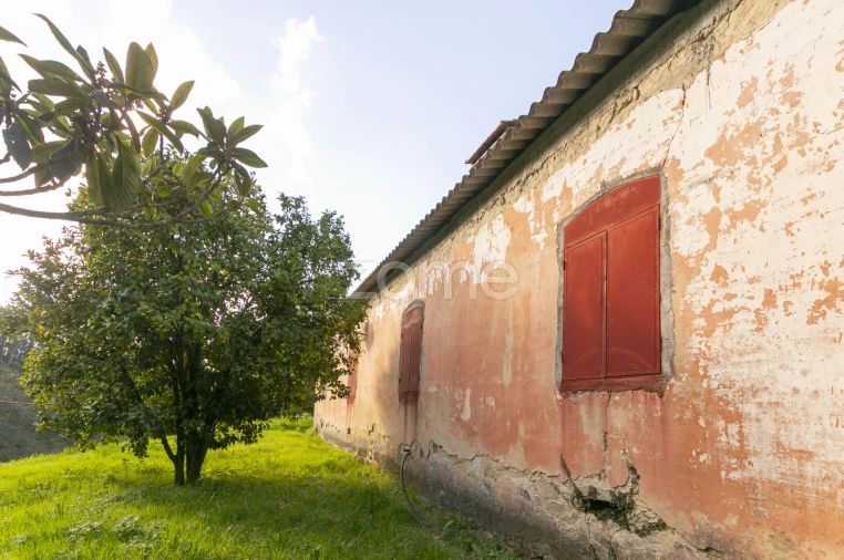 Quinta T1 para Venda em Ossela Foto 23