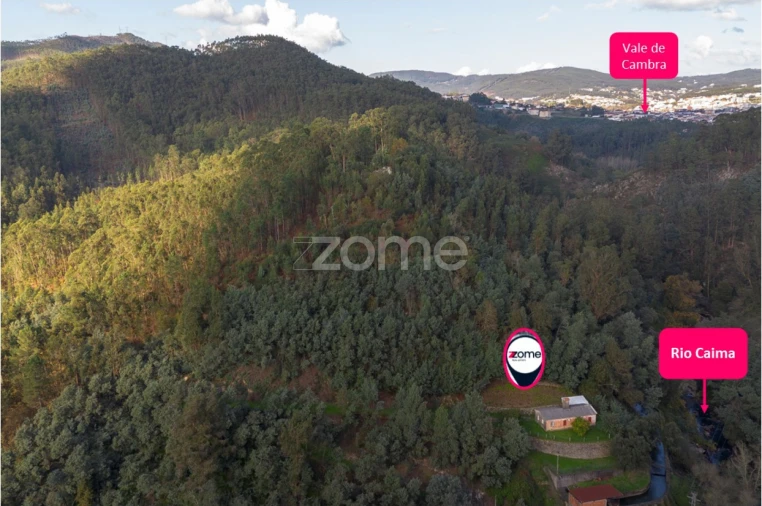 Quinta T1 para Venda em Ossela Foto 29