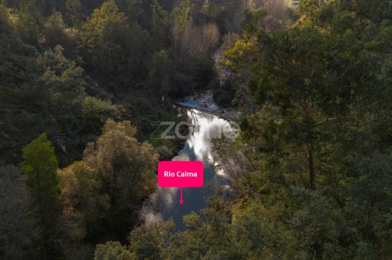 Quinta T1 para Venda em Ossela Foto 30