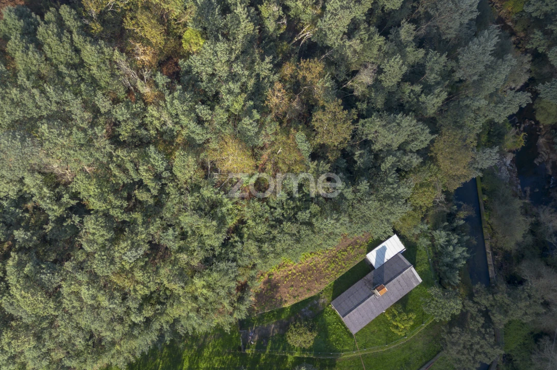 Quinta T1 para Venda em Ossela Foto 5