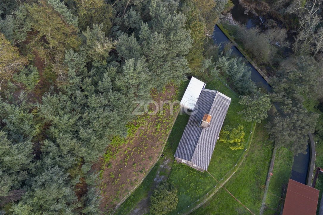 Quinta T1 para Venda em Ossela Foto 7