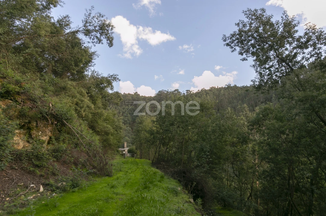 Quinta T1 para Venda em Ossela Foto 13