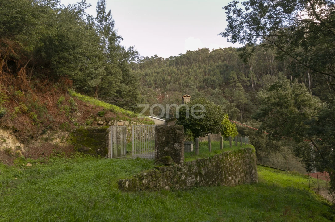 Quinta T1 para Venda em Ossela Foto 16