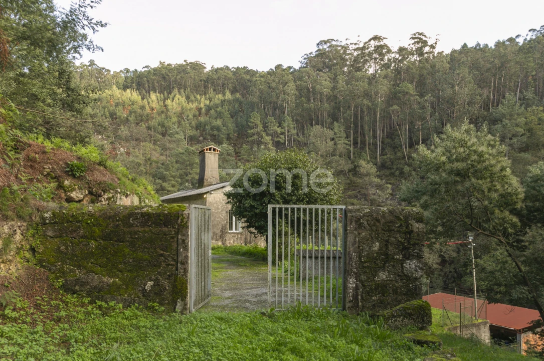 Quinta T1 para Venda em Ossela Foto 17