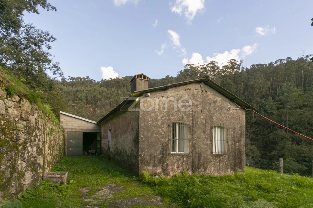 Quinta T1 para Venda em Ossela Foto 19