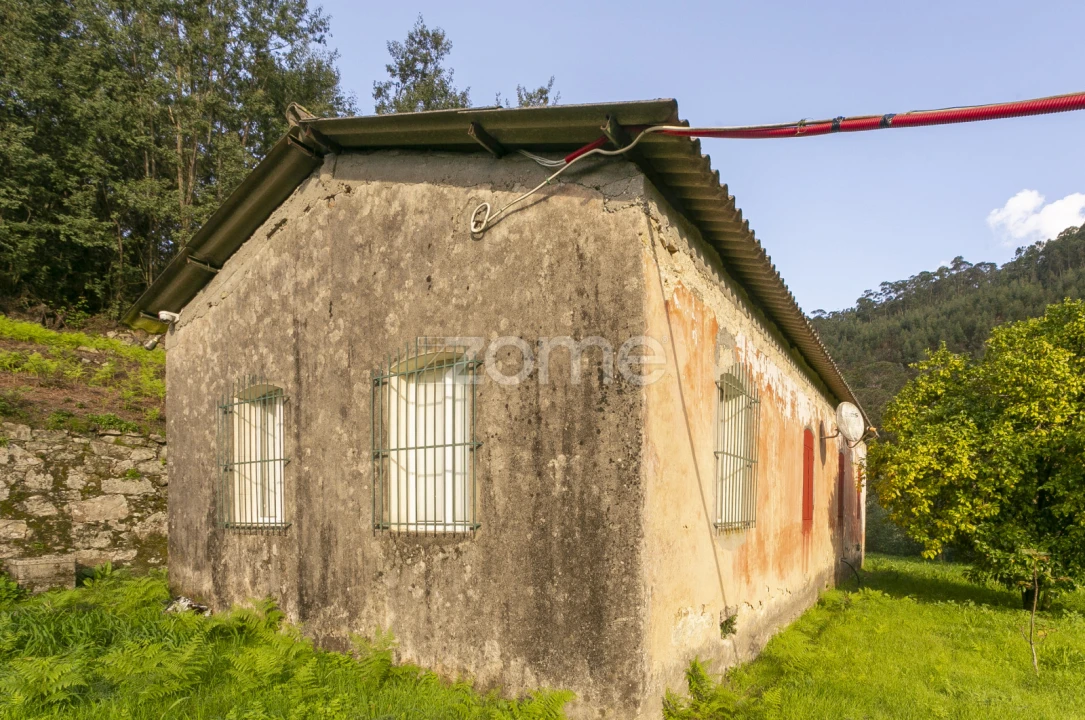 Quinta T1 para Venda em Ossela Foto 21