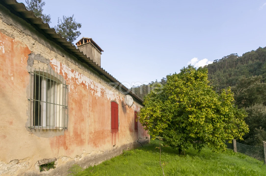 Quinta T1 para Venda em Ossela Foto 1