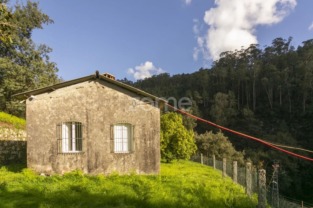 Quinta T1 para Venda em Ossela Foto 24