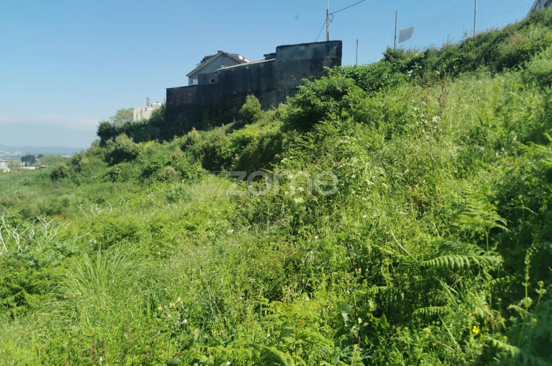 Terreno para Venda em Oliveira do Douro Foto 29