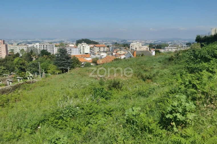 Terreno para Venda em Oliveira do Douro Foto 30